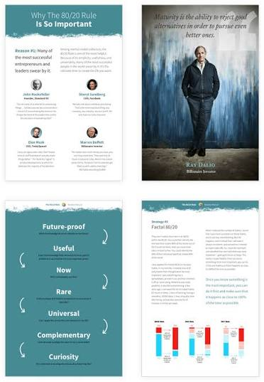 Four sample pages from Michael’s 80/20 manual, showing explanations, examples, a visual framework, and charts